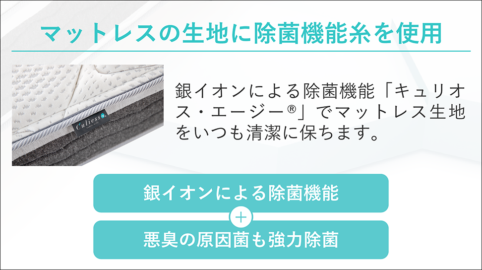 フランスベッド｜LT-5000 ミディアムソフト セミダブル